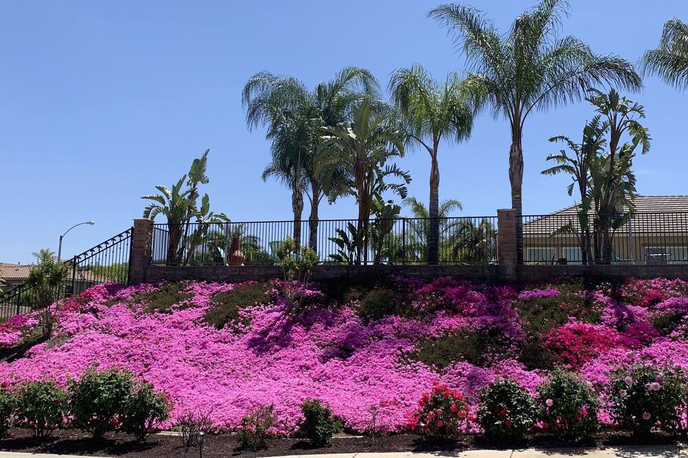 Photo of Outdoor in Alessandro Heights