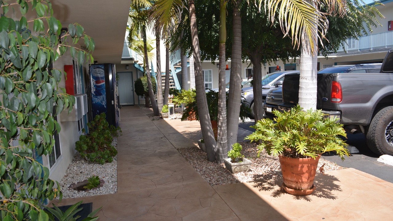 Photo of Outdoor in North Redondo