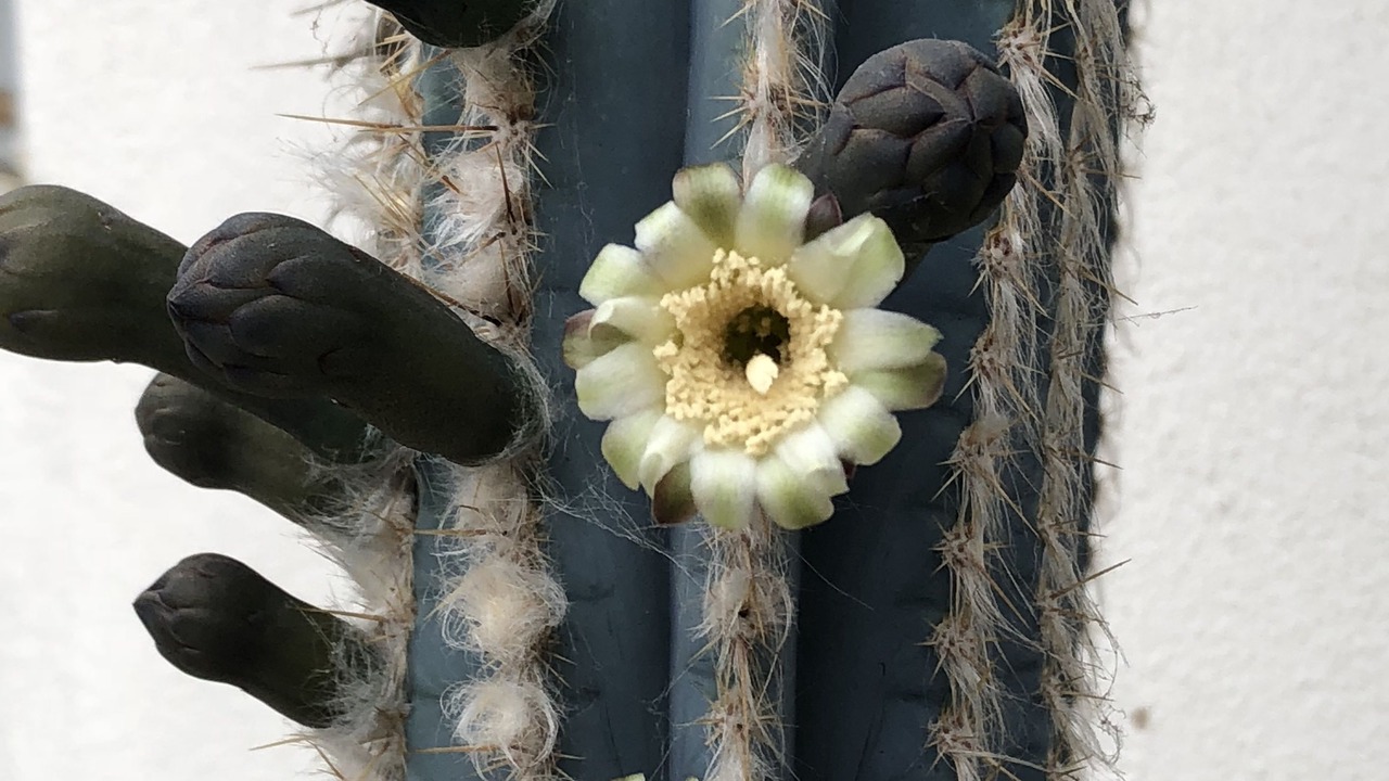 Photo of Outdoor in Los Alamos
