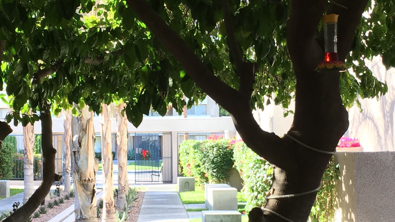 Photo of Outdoor in Baristo