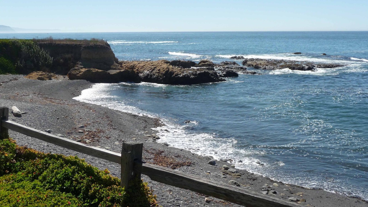 Photo of Others in Shelter Cove