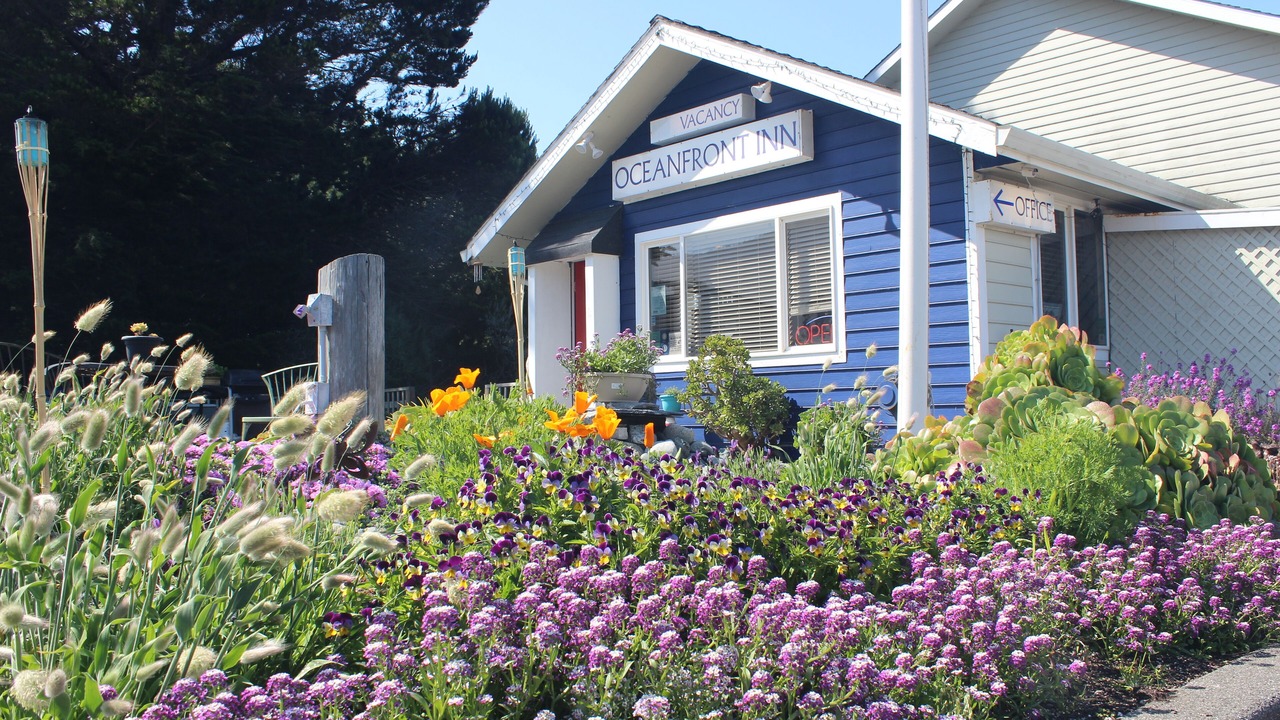 Photo of Outdoor in Shelter Cove