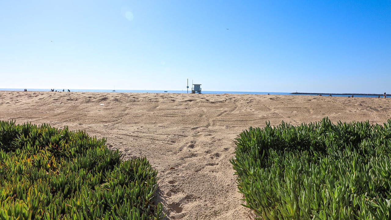 Photo of Others in Playa Del Rey