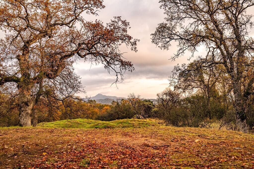 Photo of Outdoor in Mariposa