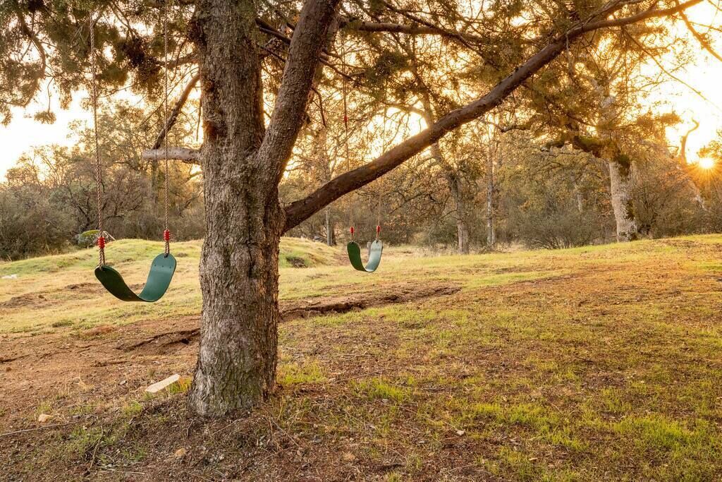 Photo of Outdoor in Mariposa