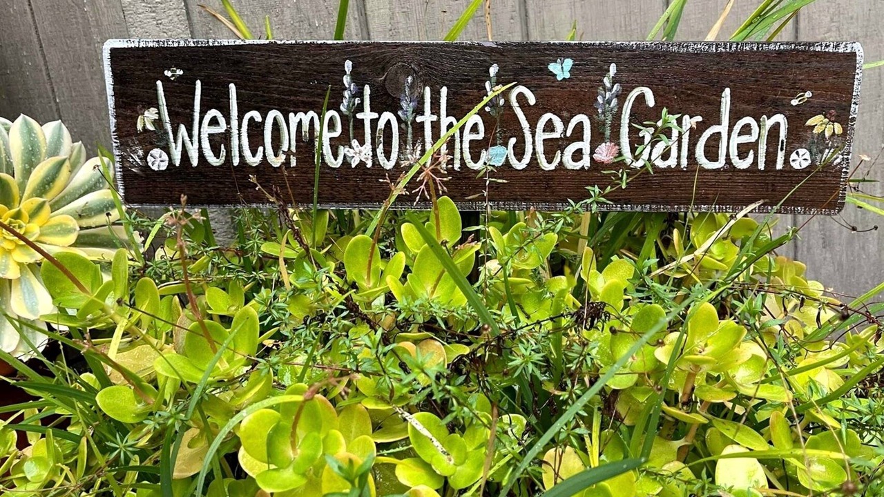 Photo of Outdoor in Sea Ranch