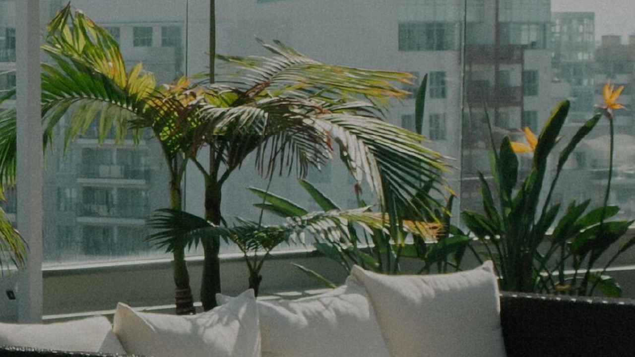 Photo of Outdoor in Encino