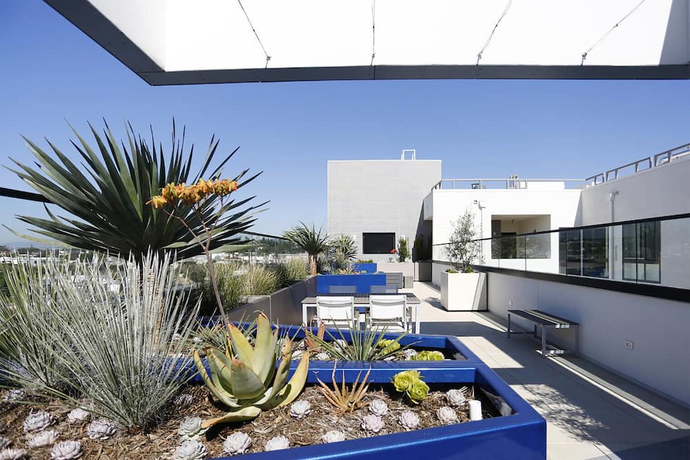 Photo of Outdoor in Palms