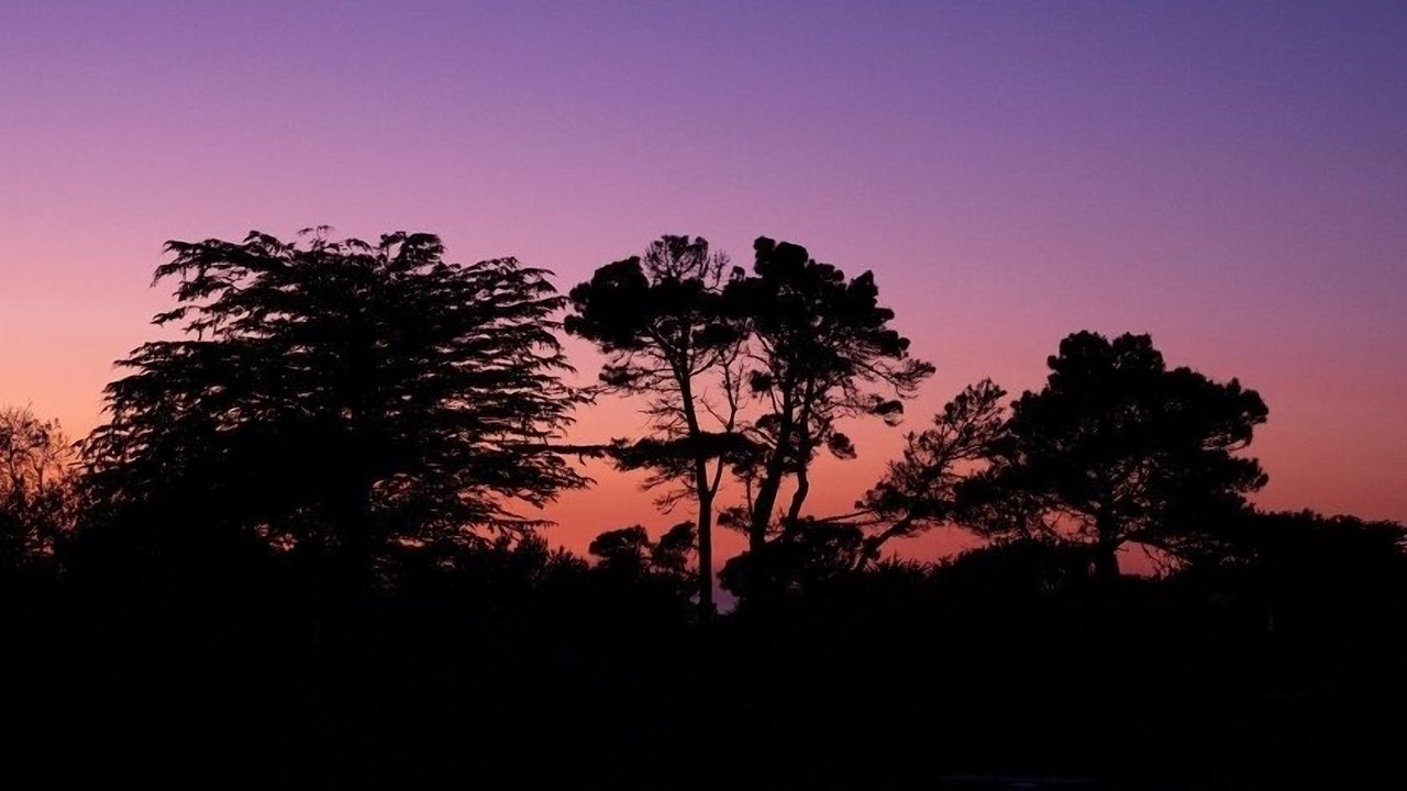 Photo of Others in Sea Ranch