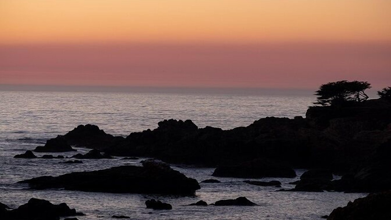 Photo of Others in Sea Ranch