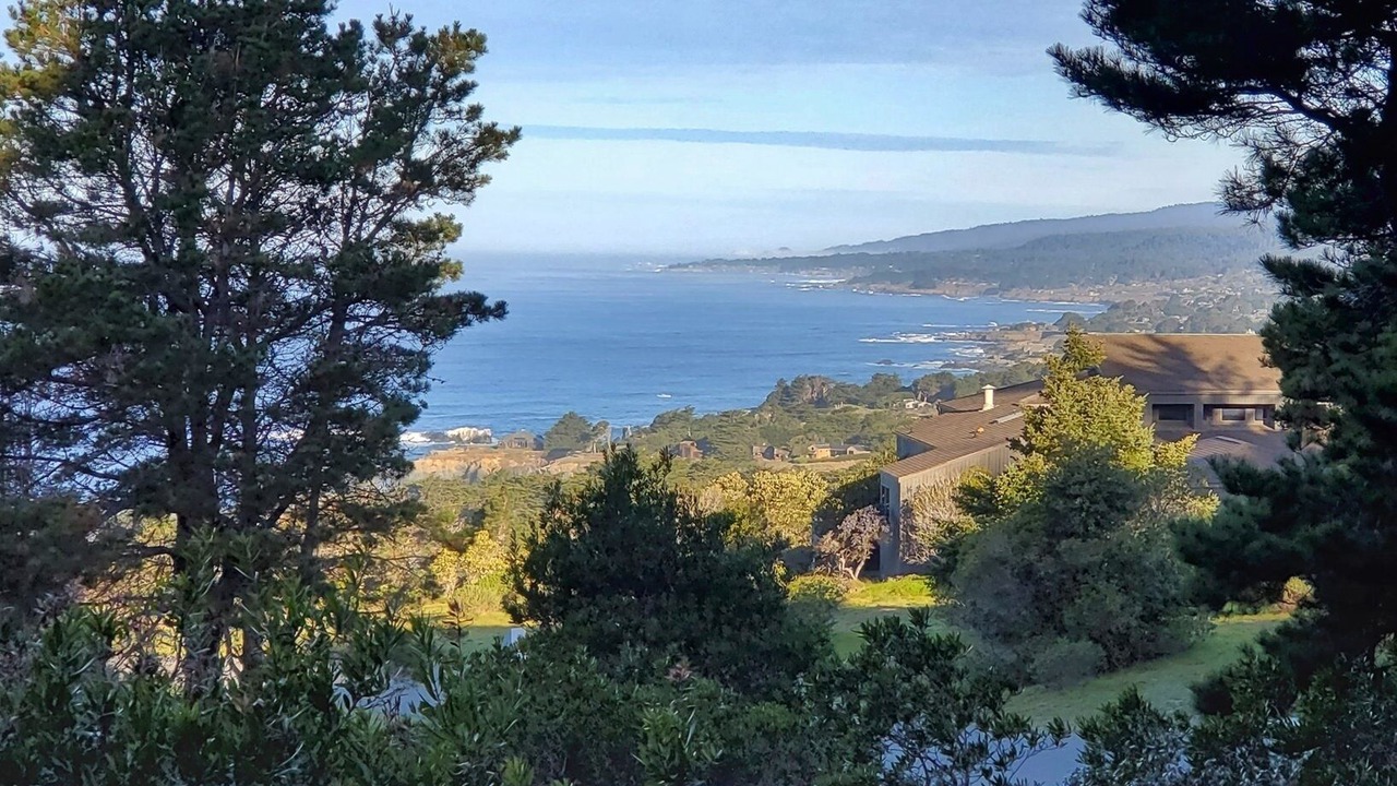 Photo of Others in Sea Ranch