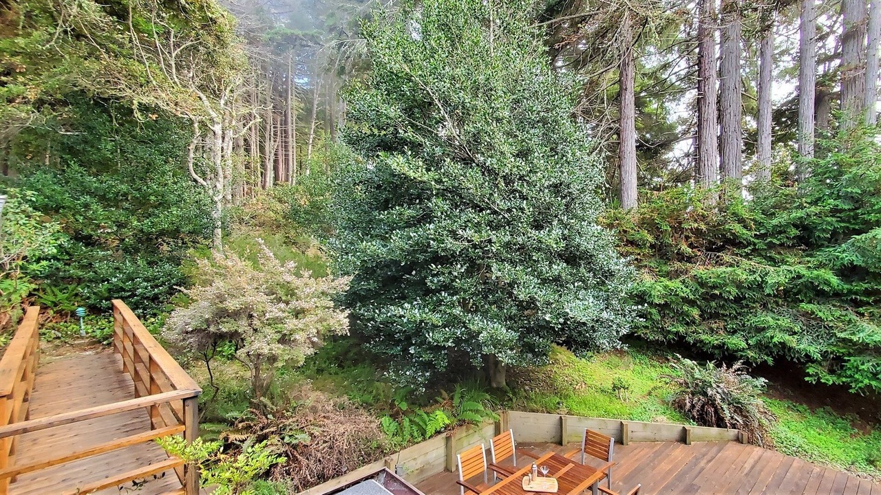 Photo of Outdoor in Sea Ranch