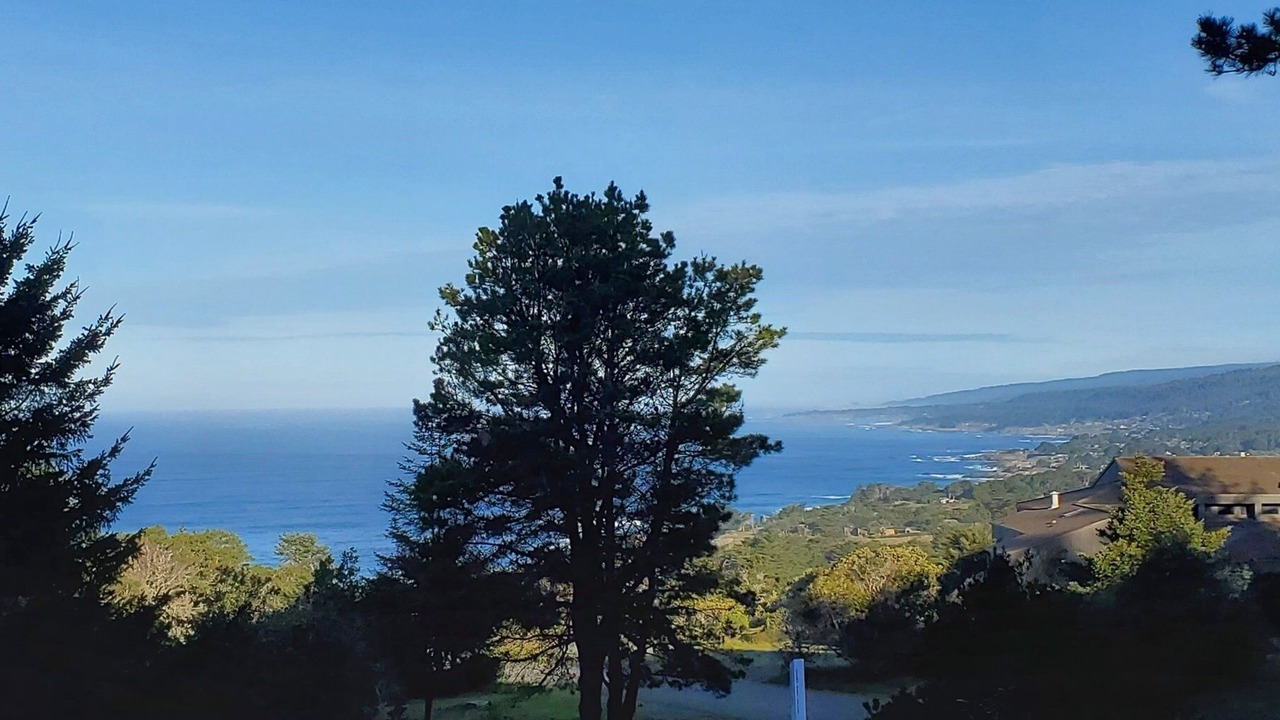 Photo of Outdoor in Sea Ranch