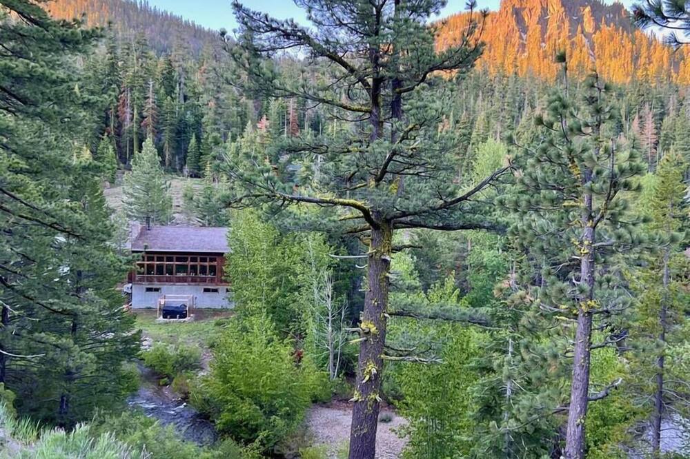 Photo of Others in Alpine Meadows