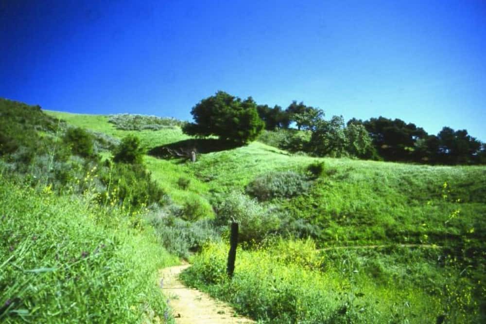Photo of Outdoor in West Hills