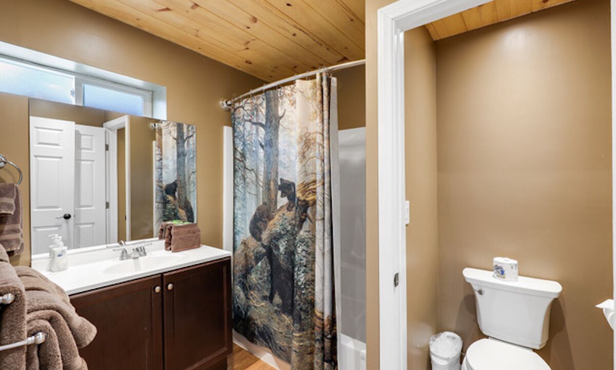 Photo of Bathroom in Idyllwild
