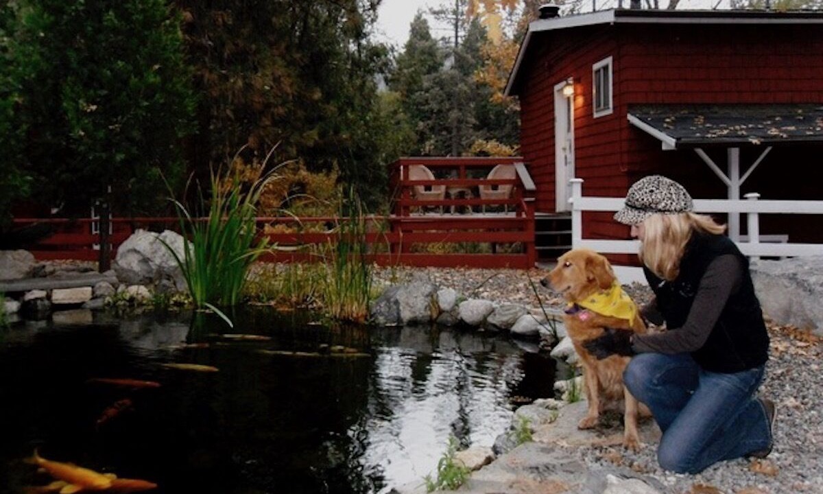 Photo of Outdoor in Idyllwild
