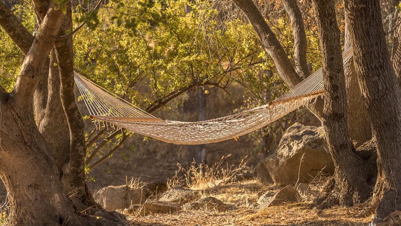 Photo of Others in Mariposa