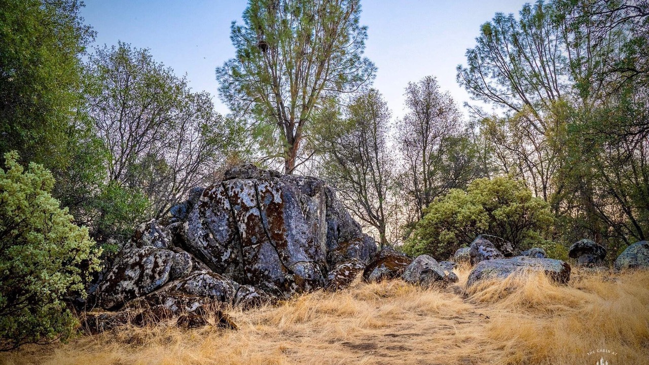 Photo of Outdoor in Mariposa