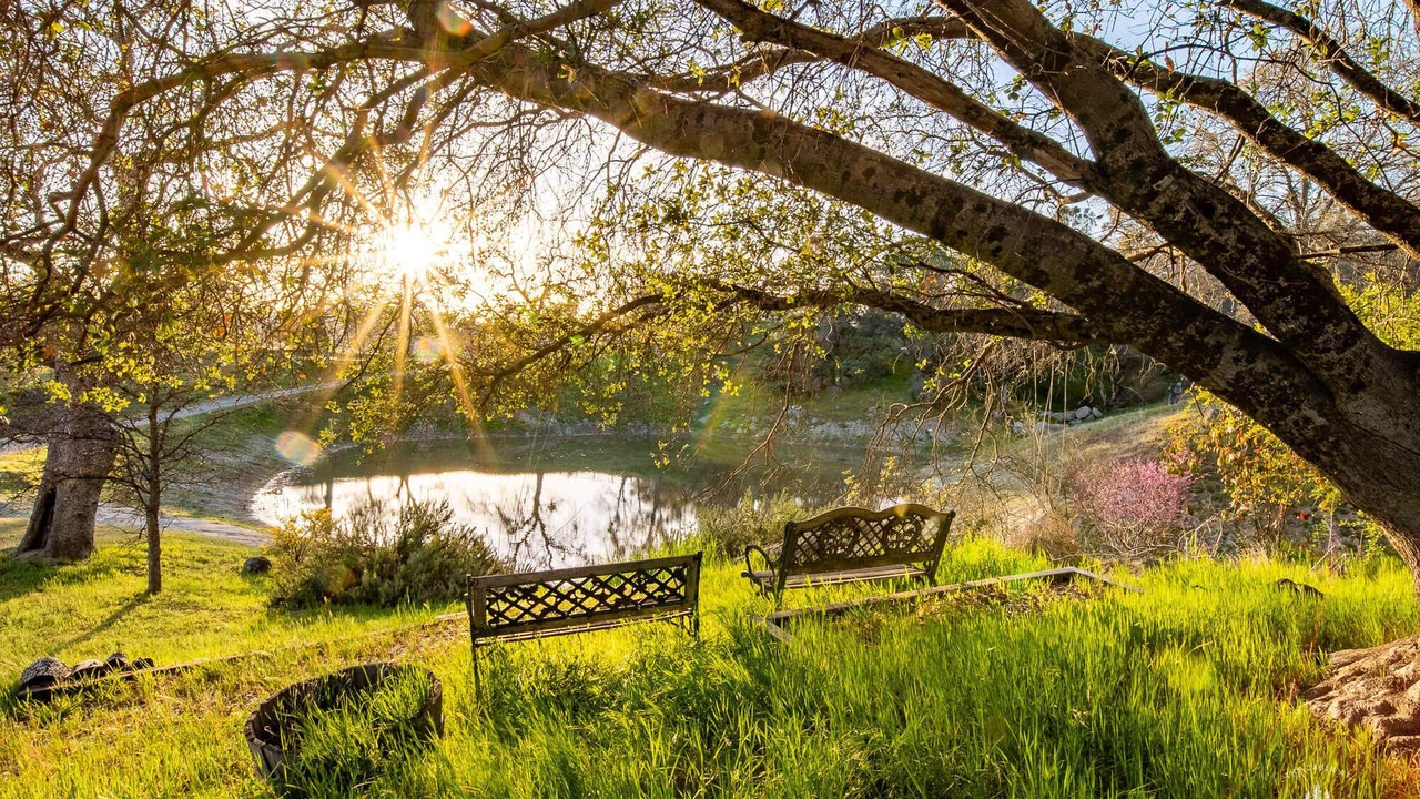 Photo of Outdoor in Mariposa