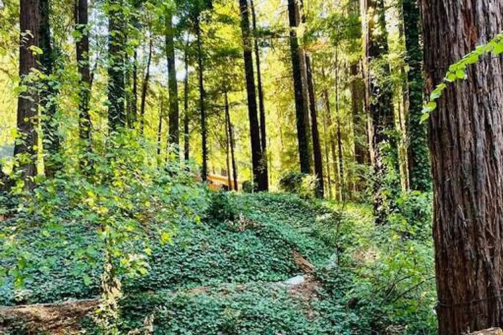 Photo of Outdoor in La Honda