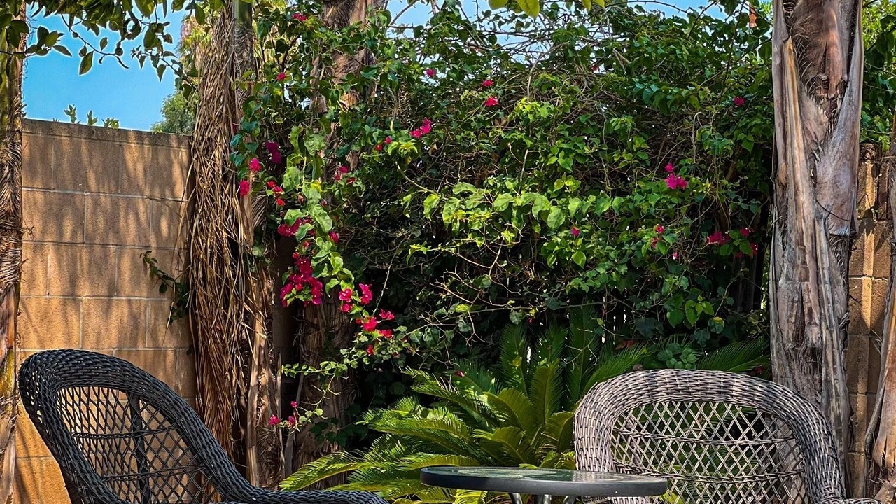 Photo of Outdoor in East Whittier