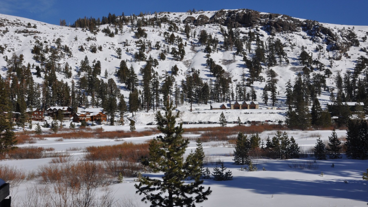 Photo of Others in Kirkwood