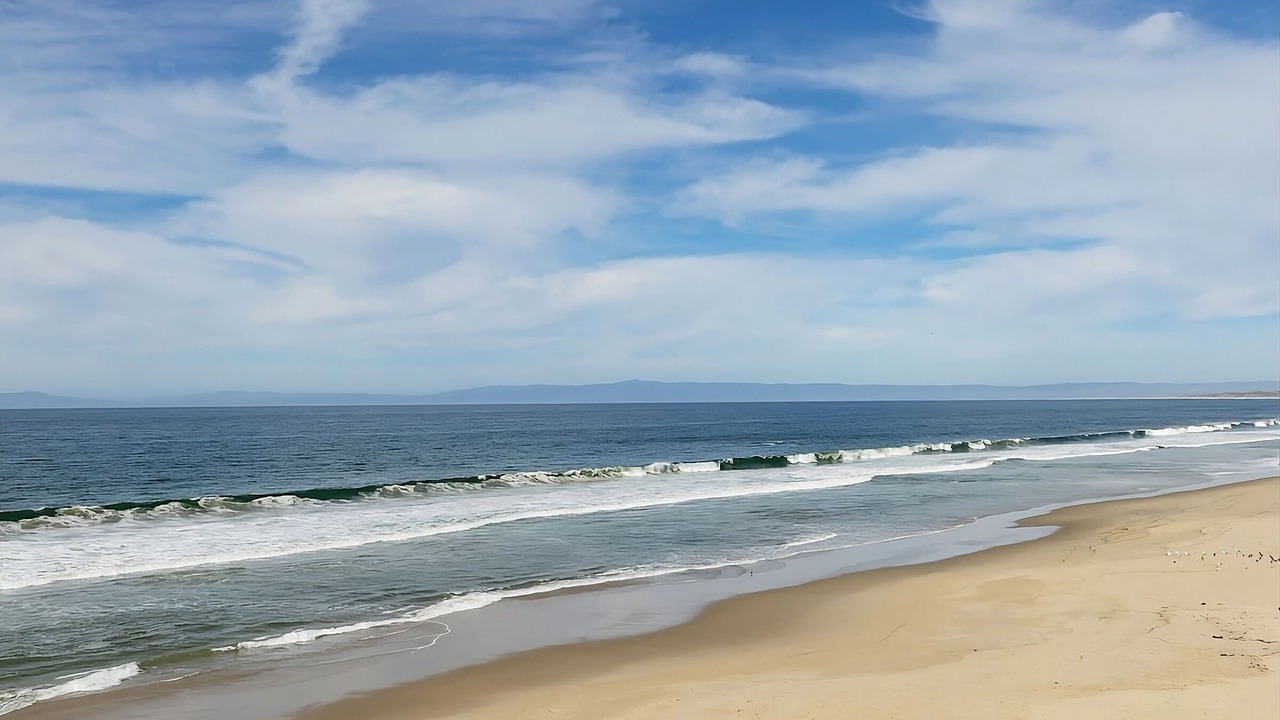 Photo of Others in Monterey