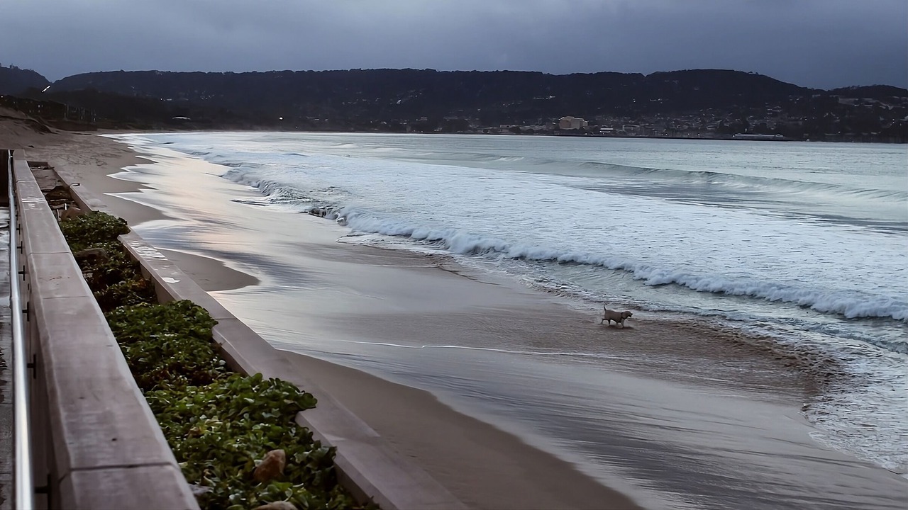 Photo of Others in Monterey