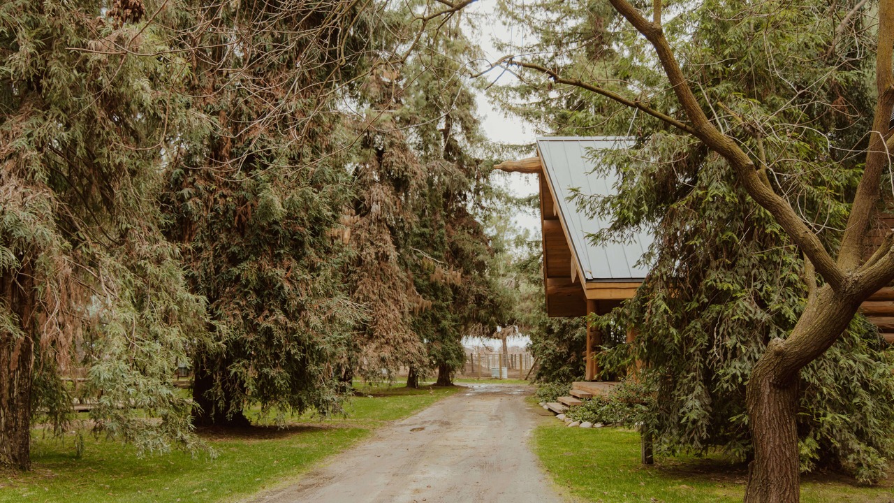 Photo of Outdoor in Kingsburg
