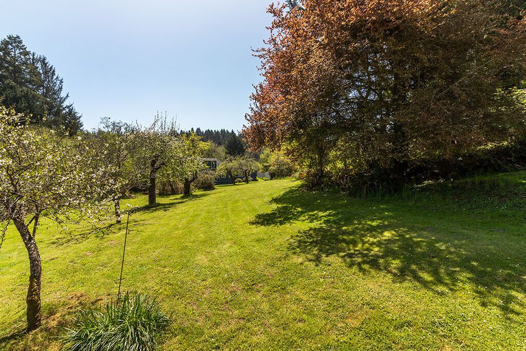 Photo of Outdoor in Pacific