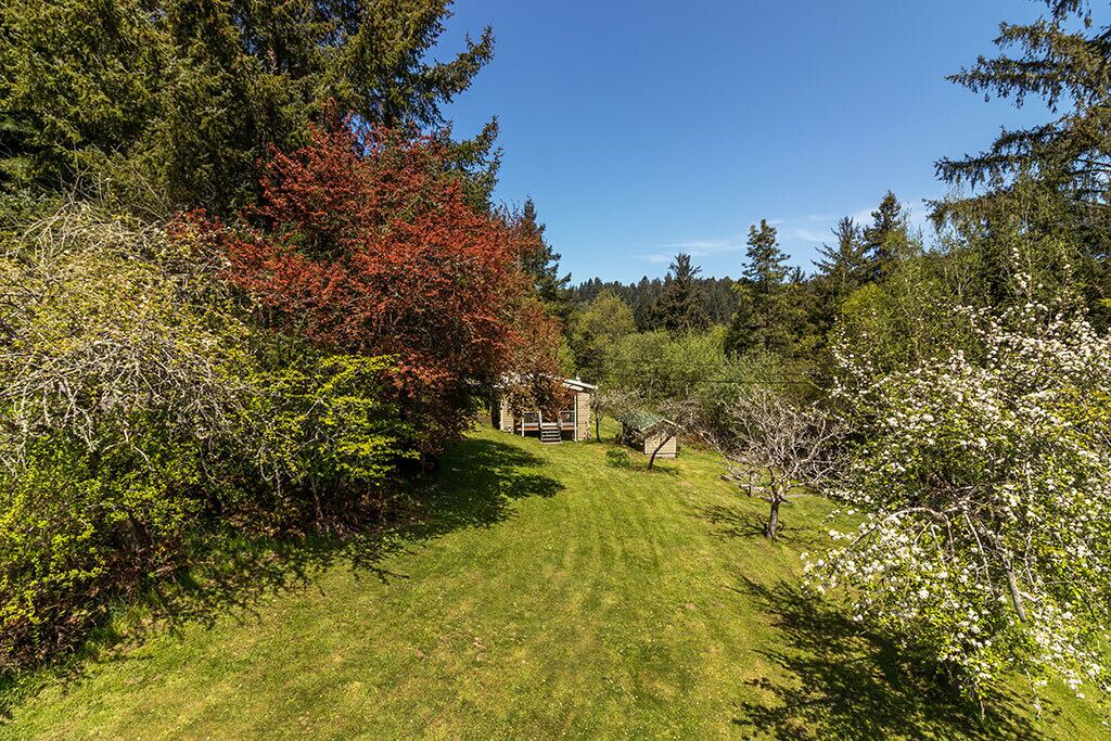 Photo of Outdoor in Pacific