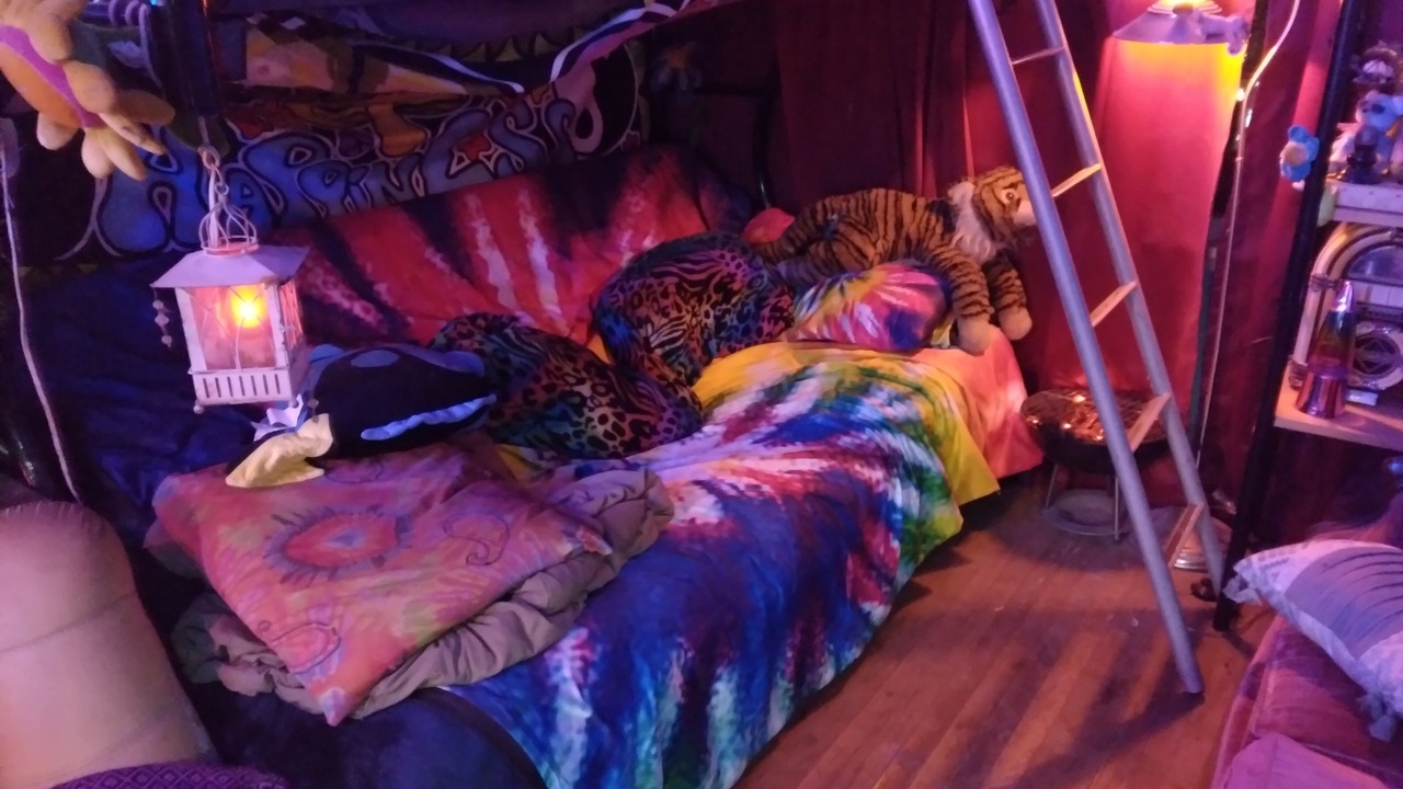 Photo of Livingroom in Valley Glen