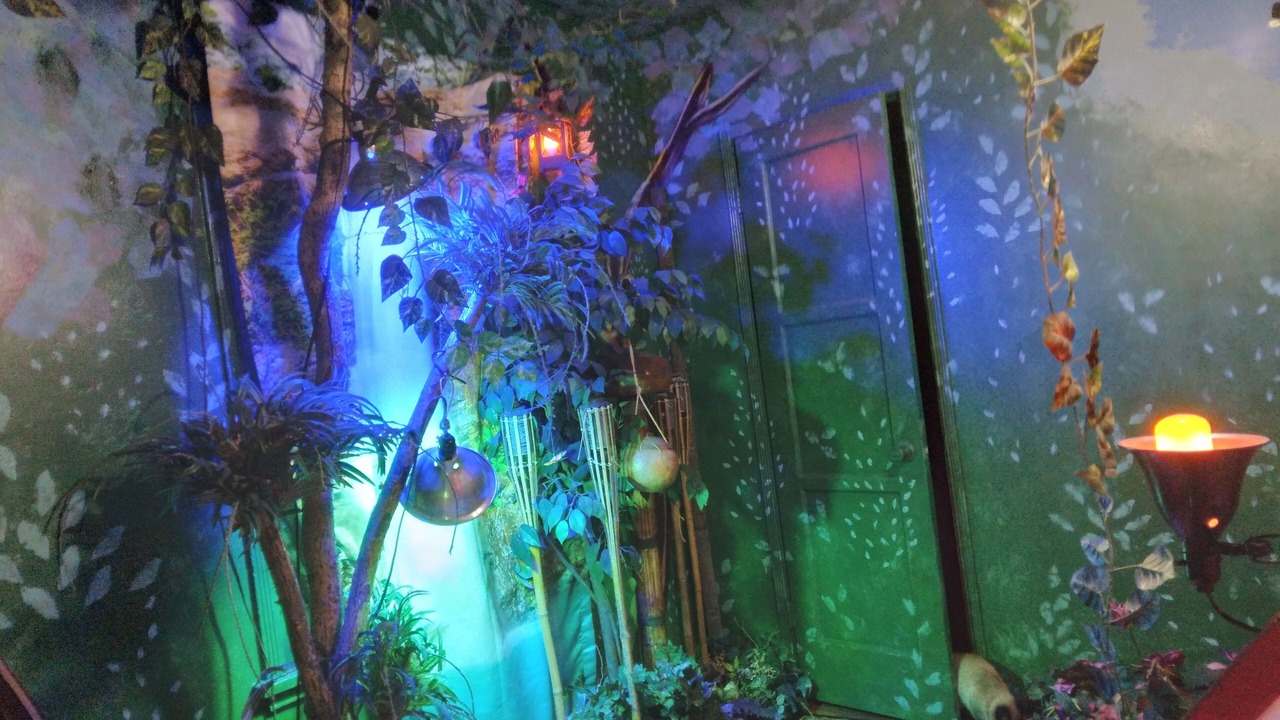 Photo of Livingroom in Valley Glen
