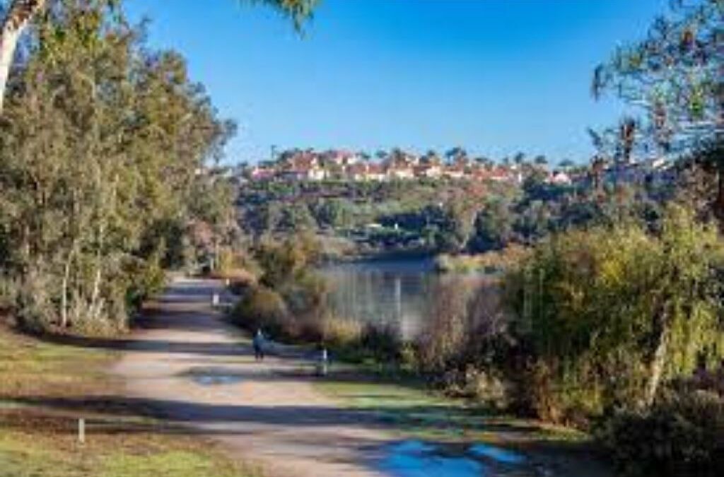 Photo of Outdoor in Laguna Niguel