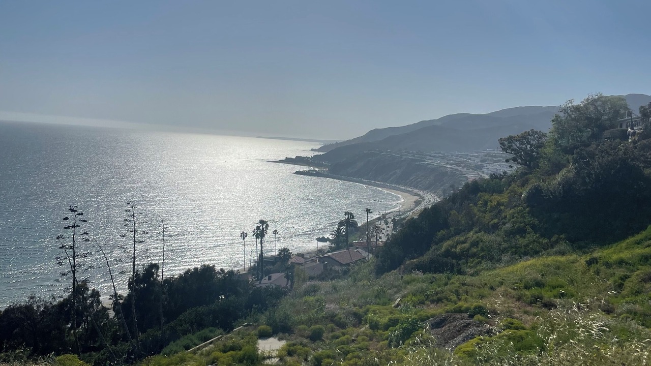 Photo of Others in Pacific Palisades