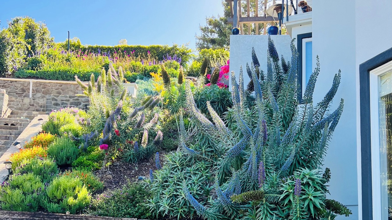Photo of Outdoor in Pacific Palisades