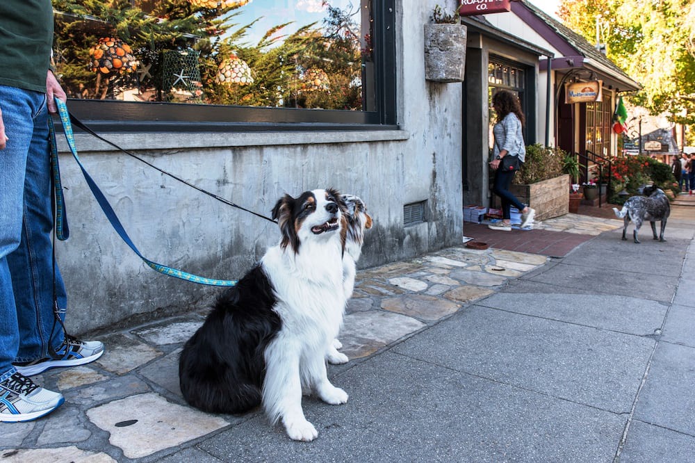 Photo of Outdoor in Pebble Beach