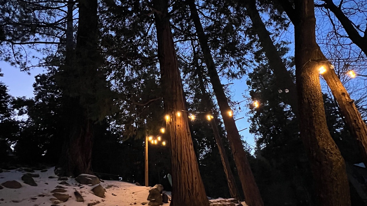 Photo of Outdoor in Cedar Glen