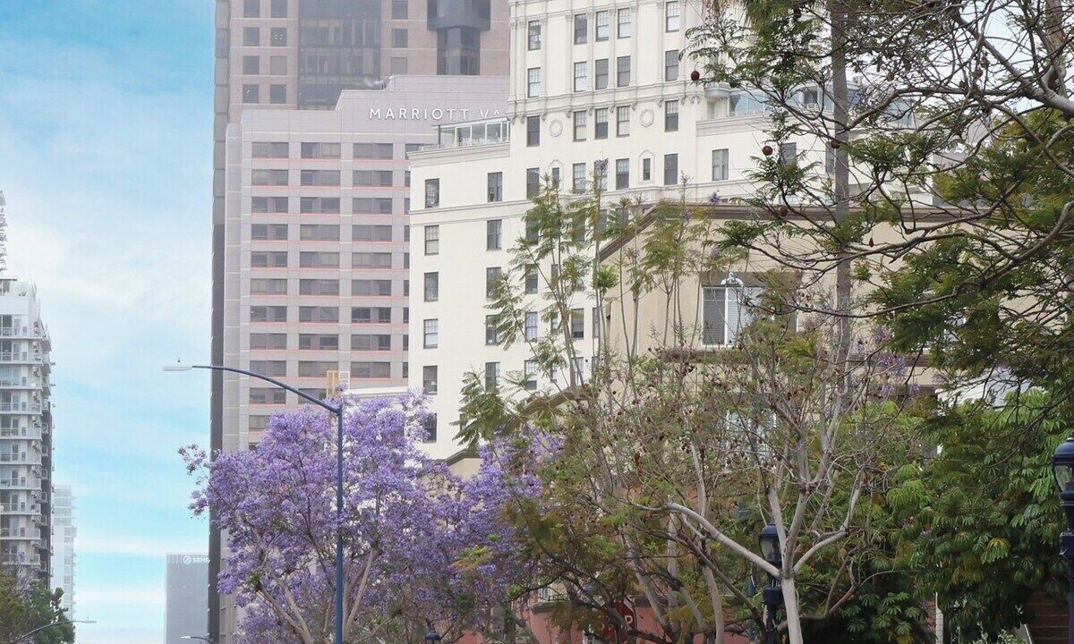 Photo of Others in Cortez Hill