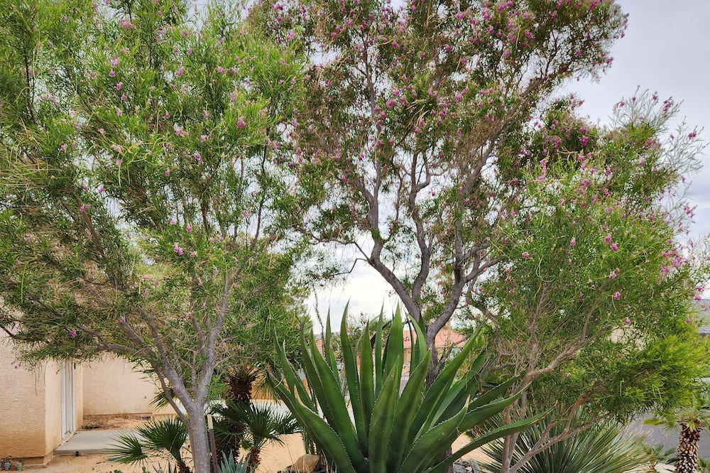 Photo of Outdoor in Ridgecrest