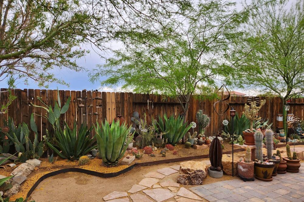 Photo of Outdoor in Ridgecrest
