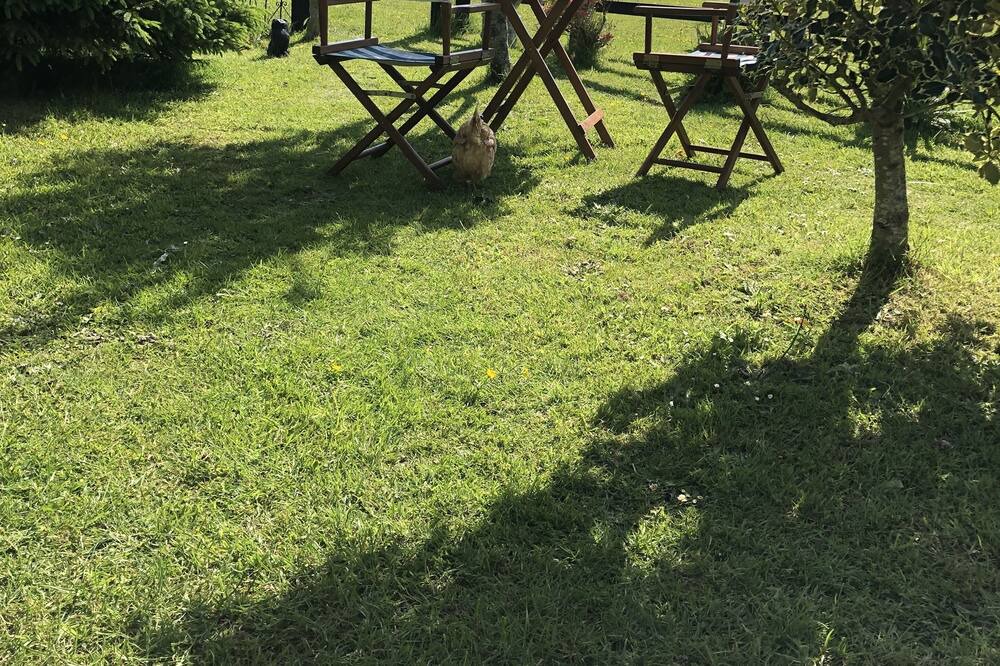 Photo of Others in Pitchcombe