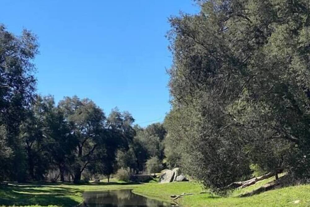 Photo of Others in Descanso