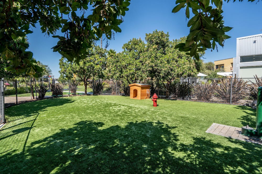 Photo of Outdoor in East San Mateo