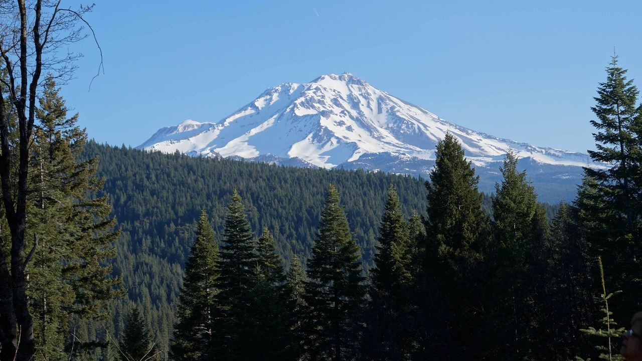 Photo of Others in McCloud