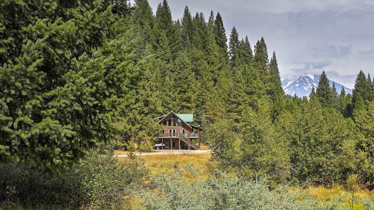 Photo of Others in McCloud
