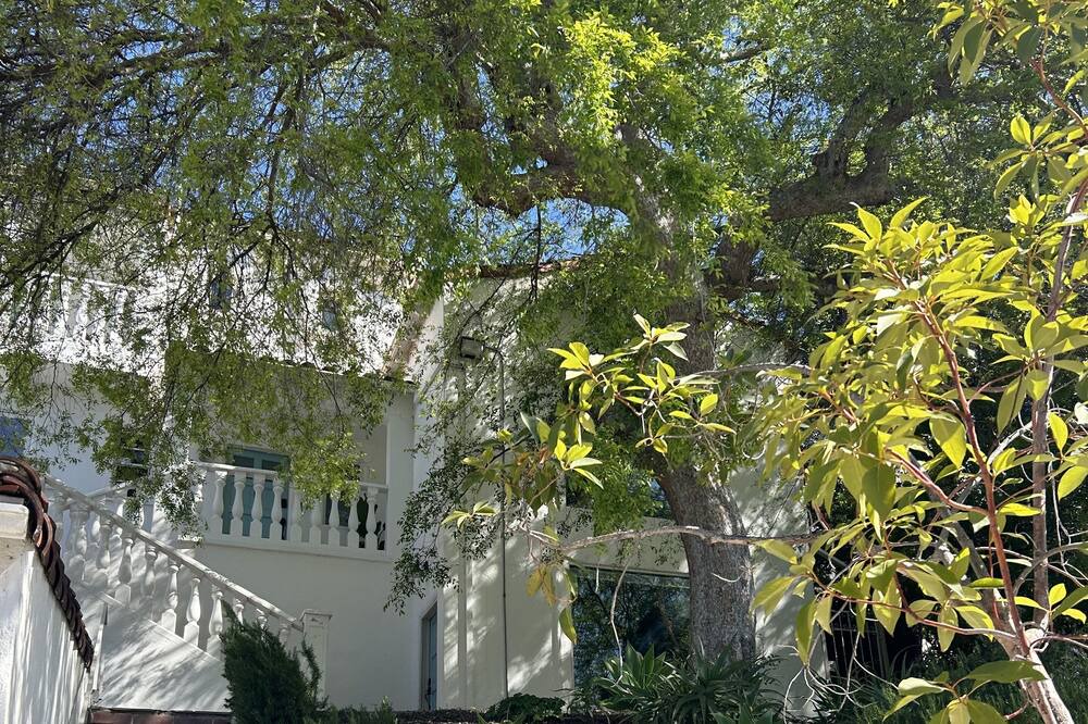 Photo of Outdoor in Los Feliz