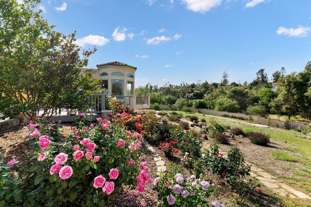 Photo of Outdoor in Lake Hodges