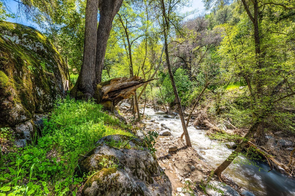 Photo of Others in California Hot Springs